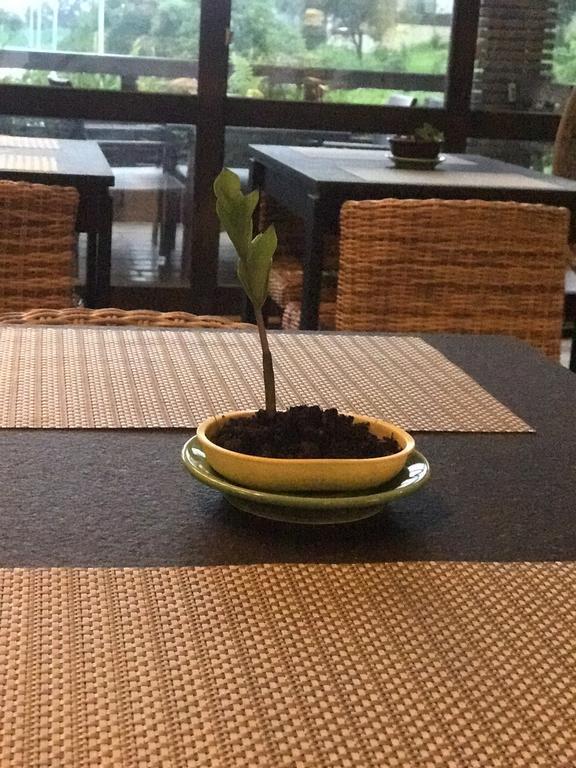 Most Natural Hotel เจียวซี ภายนอก รูปภาพ